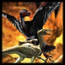 Compy and Microraptor update